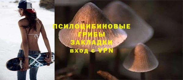 не бодяженный Абаза
