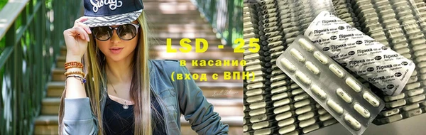 прущие грибы Лихославль
