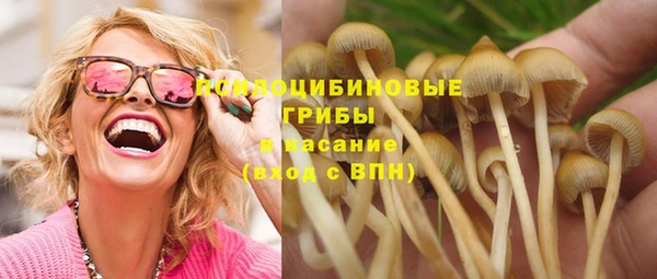 прущие грибы Лихославль